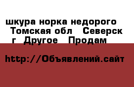 шкура норка недорого  - Томская обл., Северск г. Другое » Продам   